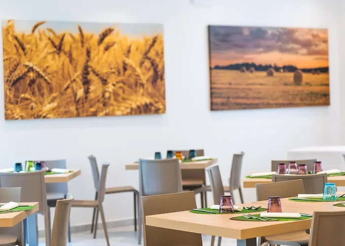 Color Village Family 3*