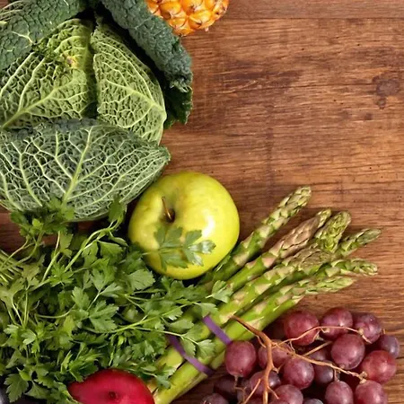 Color Village Family צ'סנטיקו